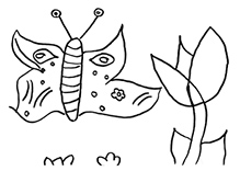 Schmetterling