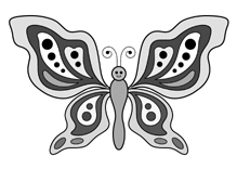 Schmetterling 4