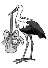 Klapperstorch