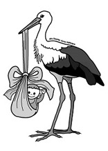 Klapperstorch