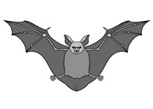 Fledermaus