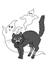 Katze und Geister