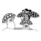 Marienkäfer und Pilze