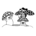 Marienk&auml;fer und Pilze