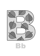 Buchstabe B